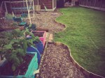 Pallet lawn edging
