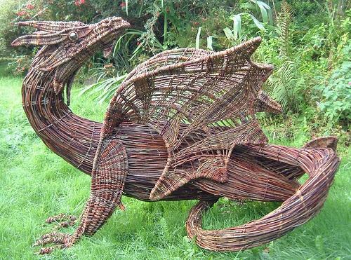 willow dragon grow veg