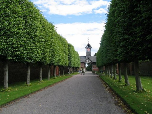 The Lime Walk at Arley Hall, Cheshire, an example of pleaching