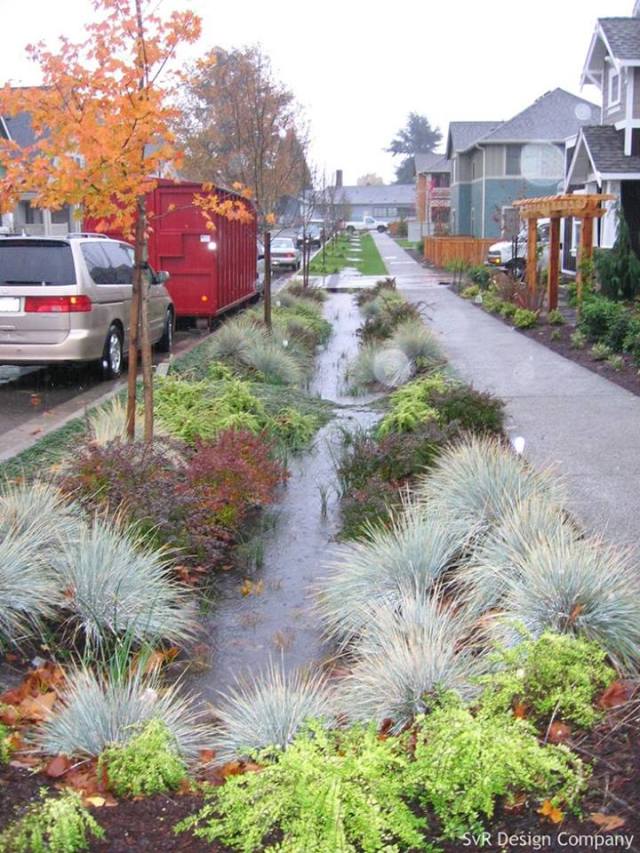 swales long fellow creek la network