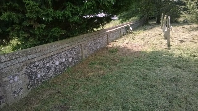 The wall cleaned of its Ivy- and, inadvertently a mouse nest too...