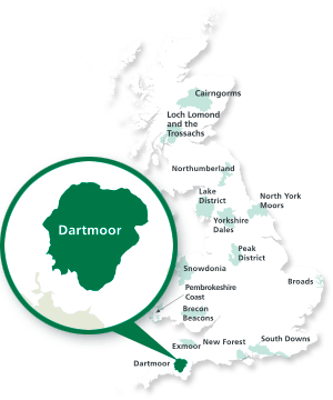 dartmoor location