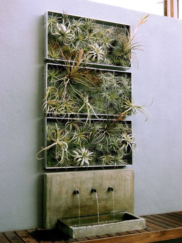 wall plant art