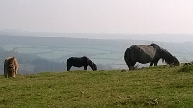 Back to Nature- 2....