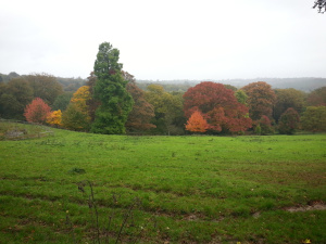 The view from the formal gardens to the Arboretum