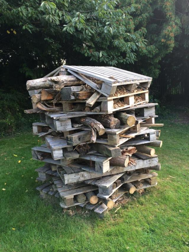 bug hotel cutteslowe and sunnymead park, oxford