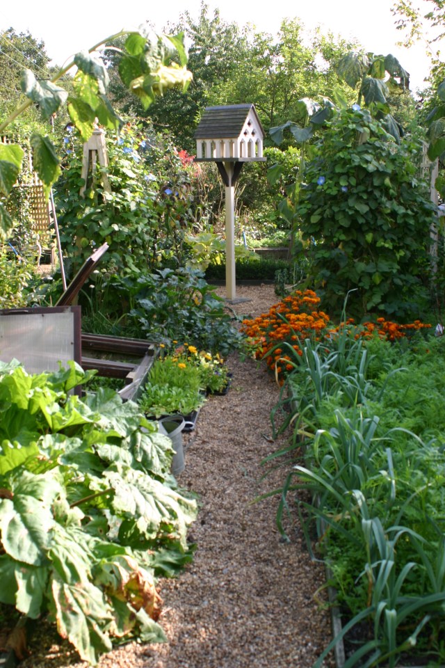 The Kitchen Garden in autumn - 'fulsome'