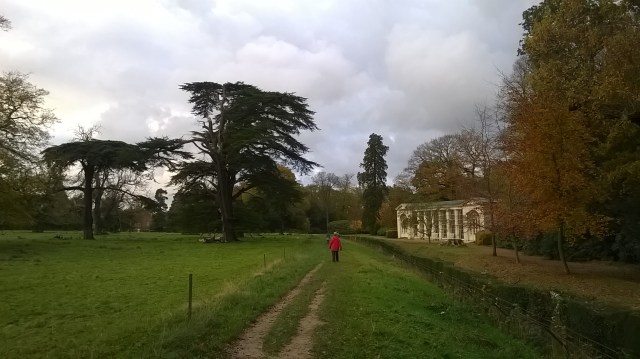 WP_20141117_15_07_28_Pro