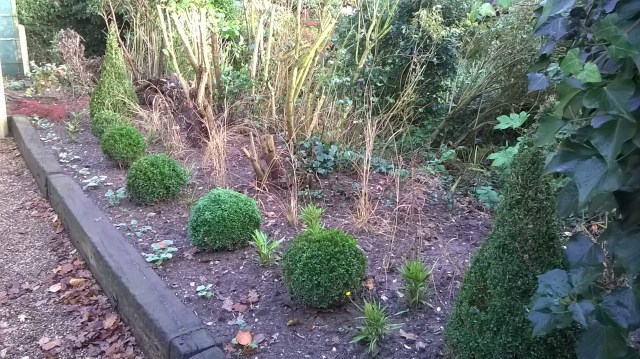 The newly planted border