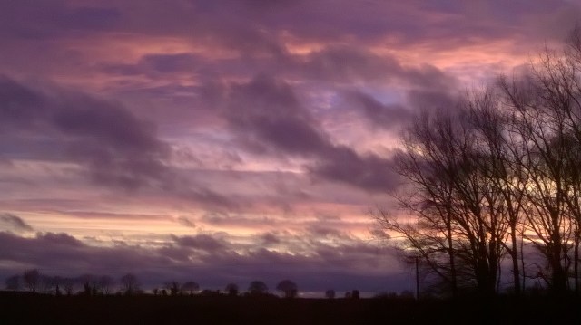 WP_20141221_15_56_47_Pro