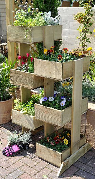 box garden