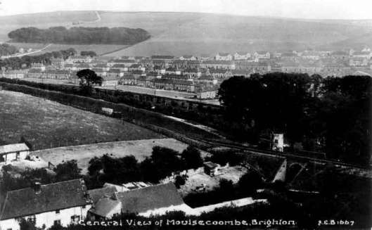 General_View_of_Moulsecoomb