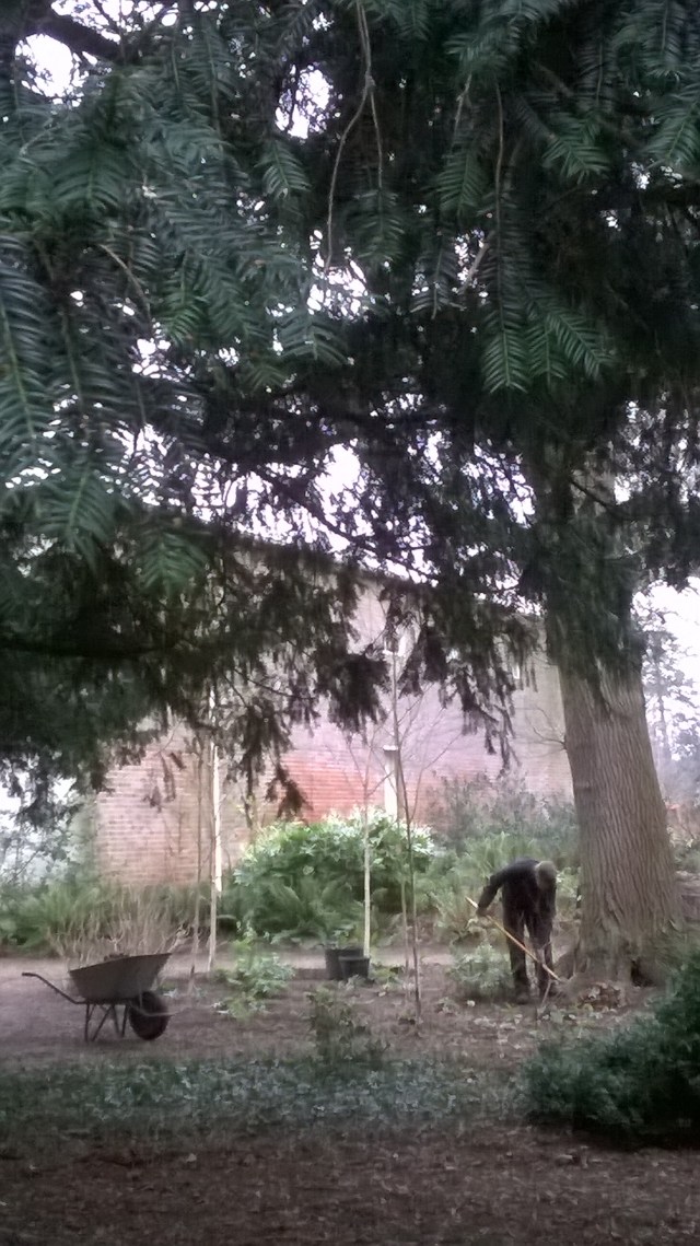 WP_20150122_12_03_53_Pro