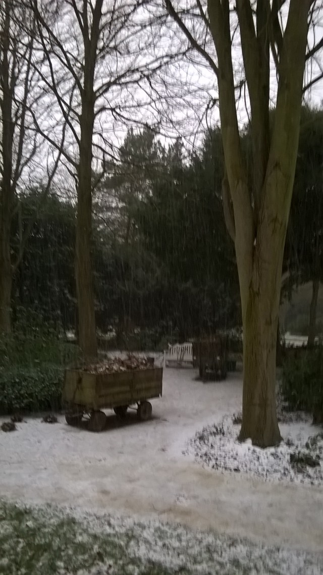 WP_20150129_14_20_18_Pro