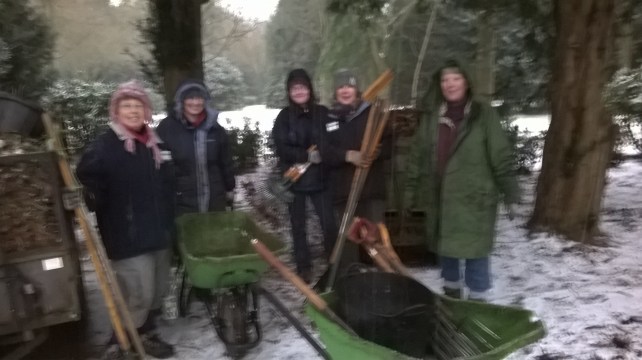 WP_20150129_14_26_03_Pro