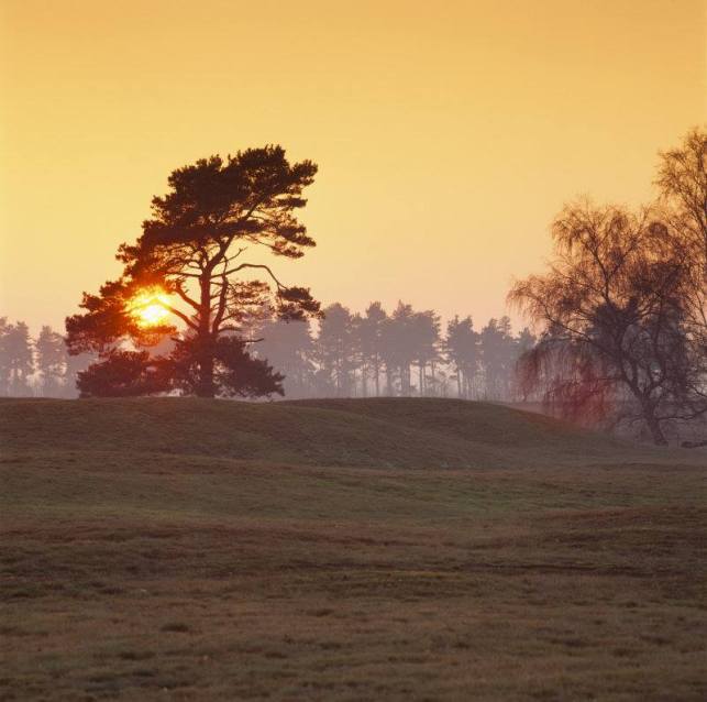 sutton hoo via national trust