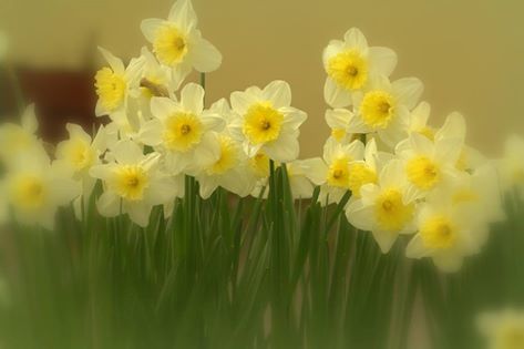 Picture by Catherine Morrisey, Limerick, Ireland