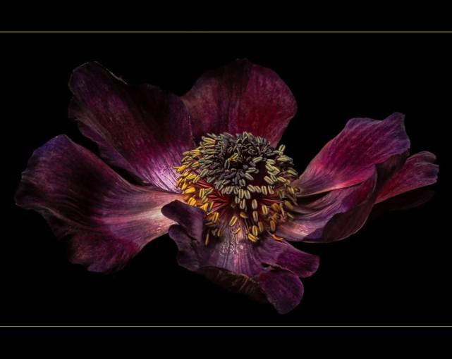 Picture by Mike Smith