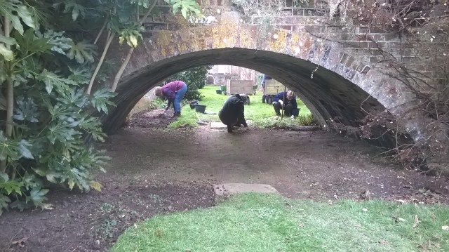 Tidying up in the Moat