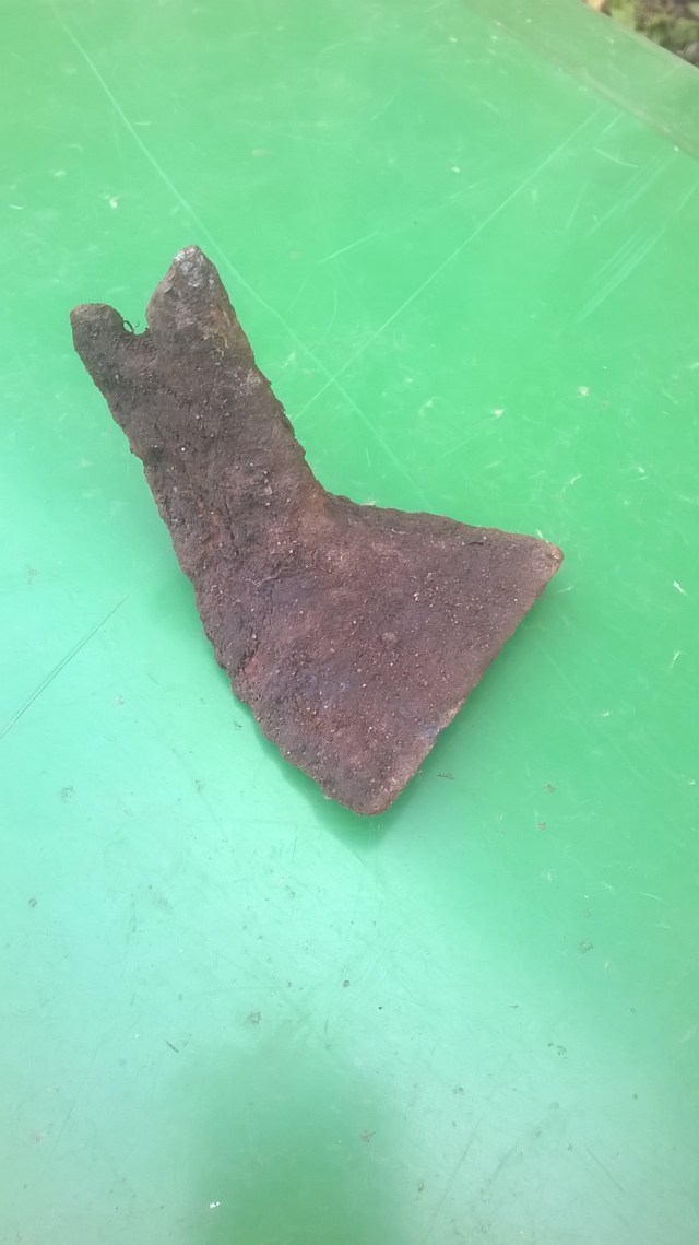 This week's mystery object.. any ideas?