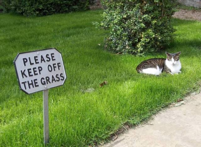 Picture: National Trust, Charlecote Park