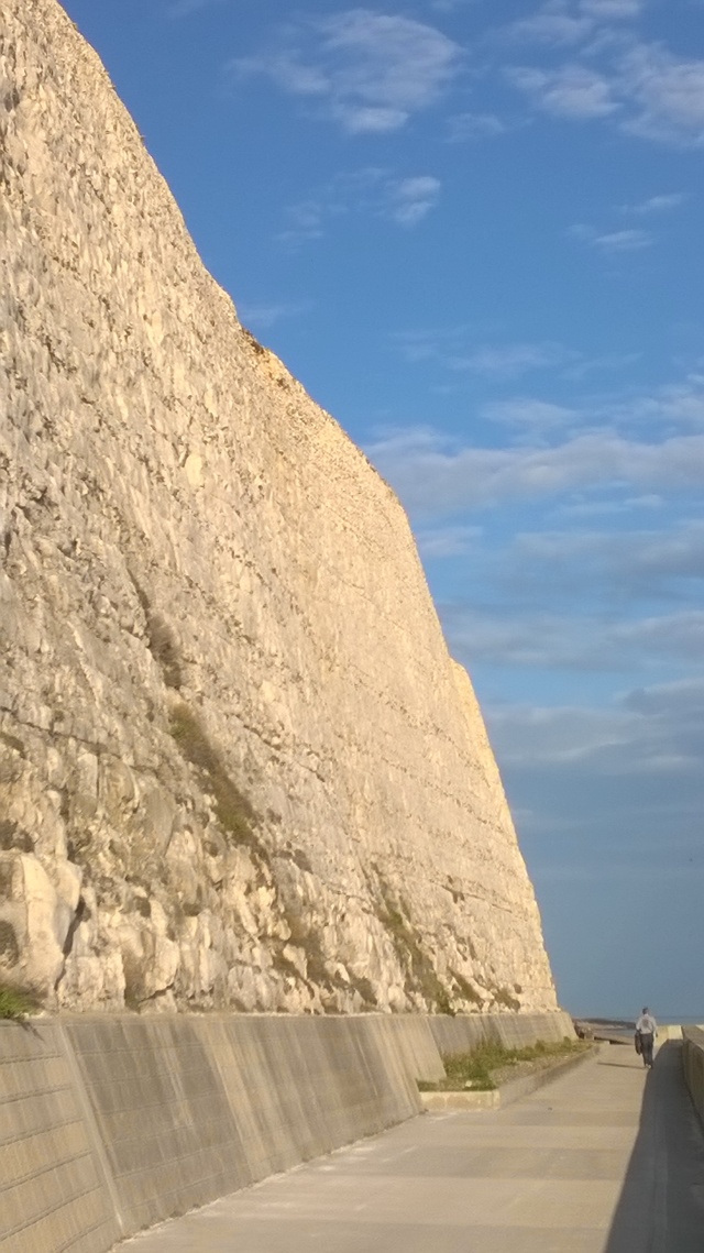 The chalk cliffs at Rottingdean, recently.