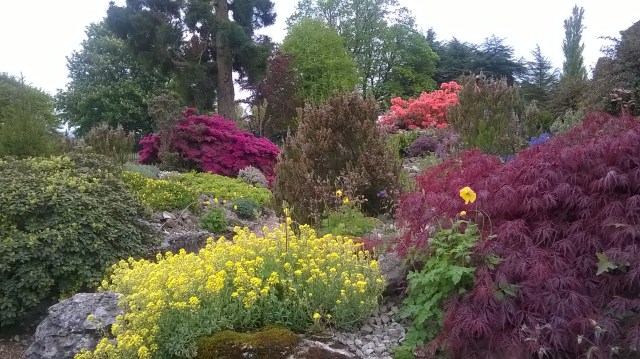 WP_20150515_11_05_33_Pro