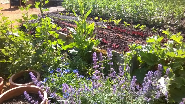 WP_20150611_15_48_05_Pro