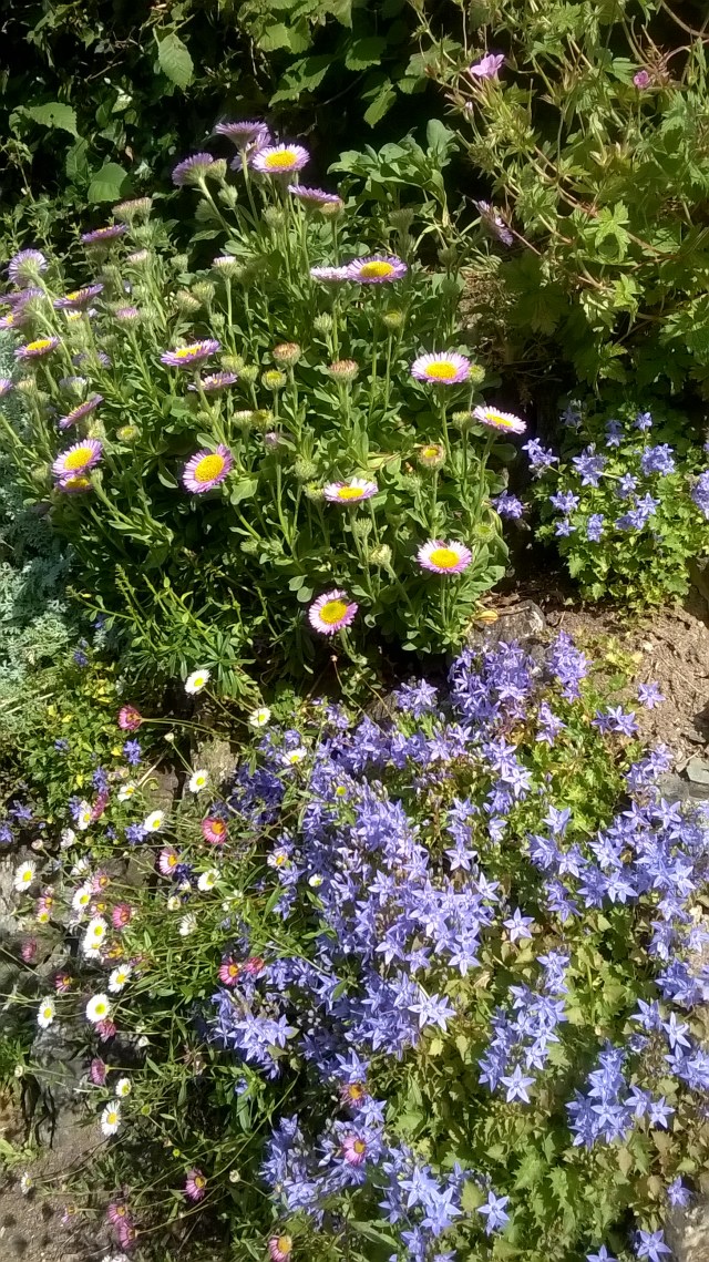 WP_20150619_09_17_49_Pro