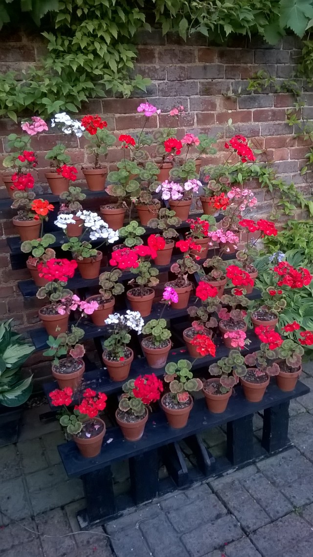 WP_20150731_20_11_41_Pro