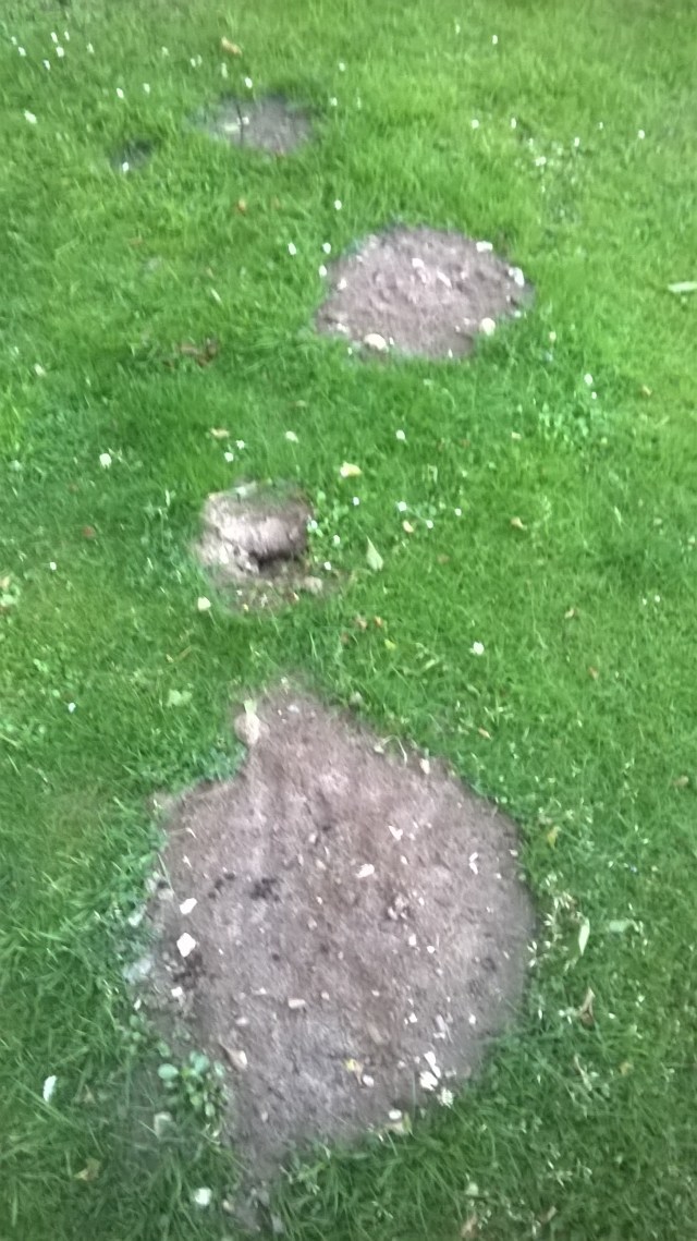 The last of mole hills?