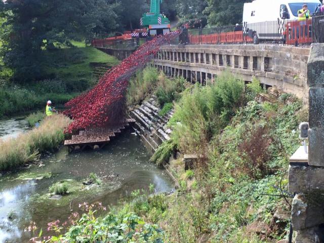 Part of the Poppy display previously at the Tower of London, being reassembled in Yorkshire Sculpture Park, near Wakefield, and open from early September to January.