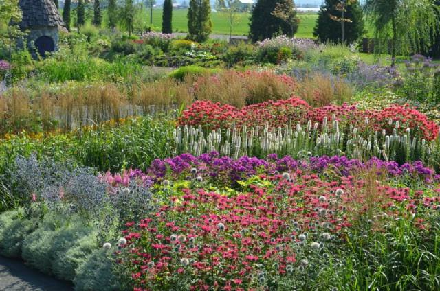 Picture form Ueno Farm