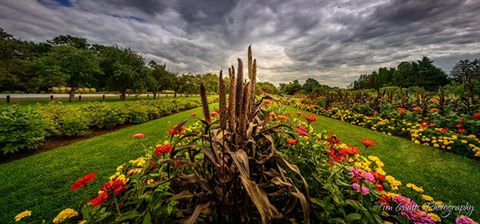 Picture by Tim Watts