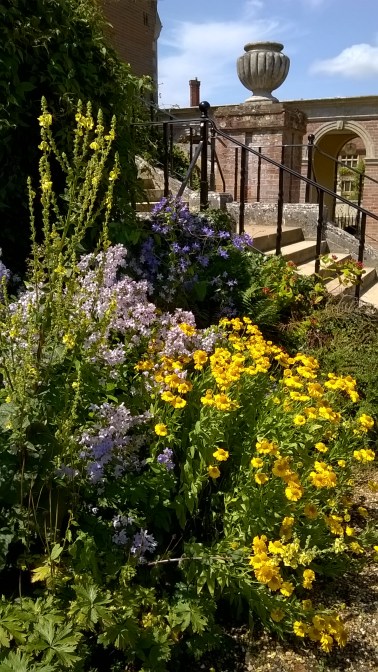 WP_20150716_12_09_50_Pro