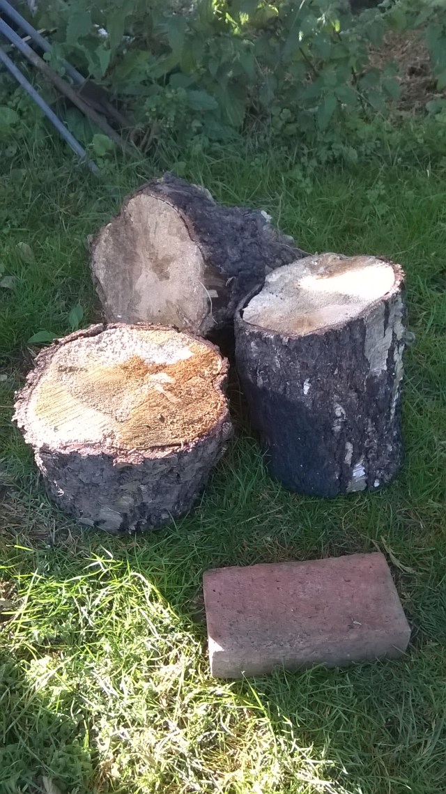 Sawing these well seasoned logs was pretty impressive