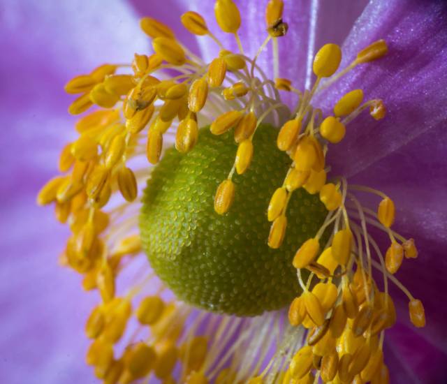 Picture by Harry Rutland