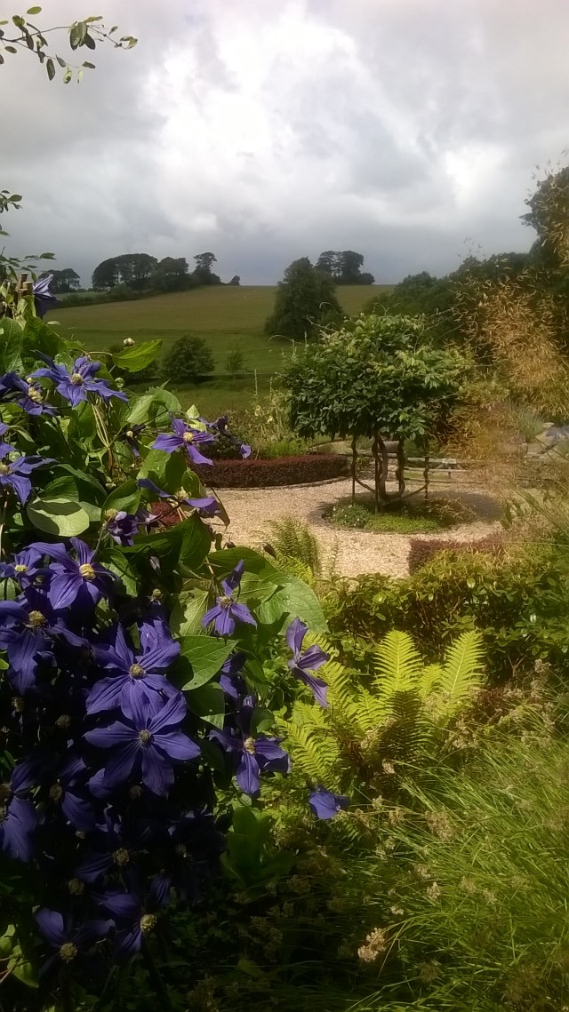 WP_20150721_12_59_38_Pro