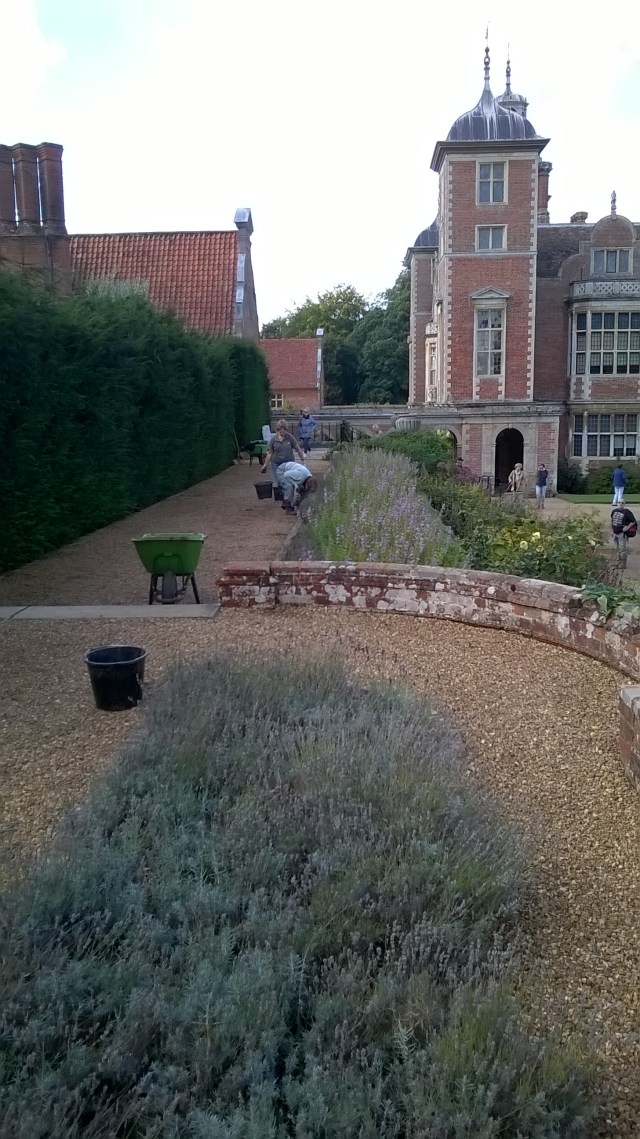 Path weeding...never ending....