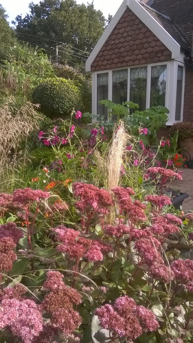 WP_20150929_10_33_14_Pro