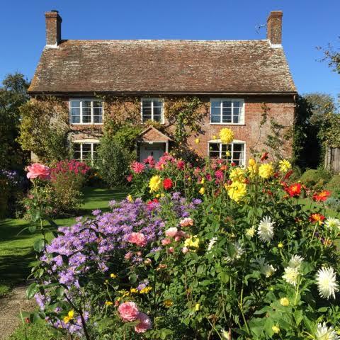 cottage garden dahlias