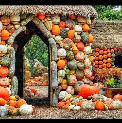 Gourd heavens
