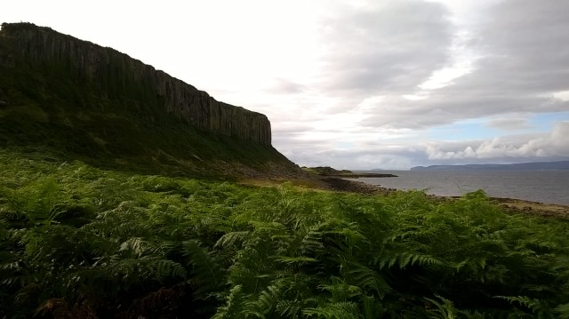 The impressive cliffs on our 'Cave Walk'