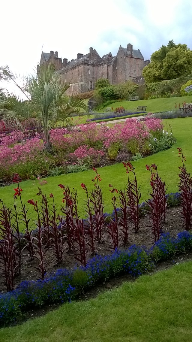 WP_20150902_16_19_41_Pro