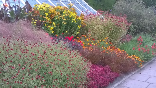 WP_20150909_12_43_35_Pro