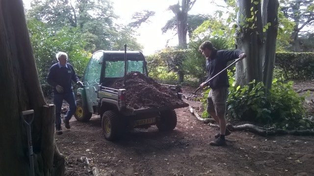 Peter and Ed spreading shredded bark in the new 'Bug Village'