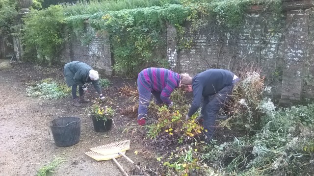 WP_20151029_12_25_49_Pro