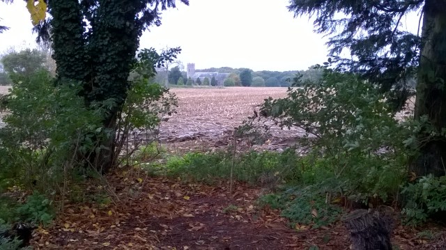 New view...one to take advantage of with a new seat?