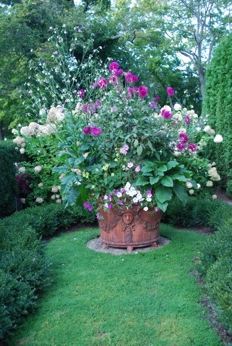 Planter with various kinds of Nicotiana (Tobacco plant) among others