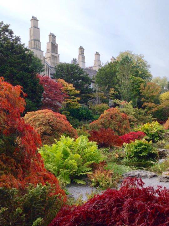 Sizergh Castle, Cumbria- picture via National Trust